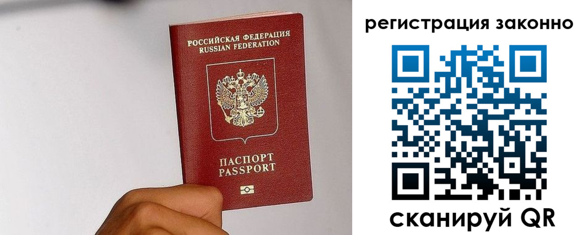 временная регистрация гарантия в Ельне